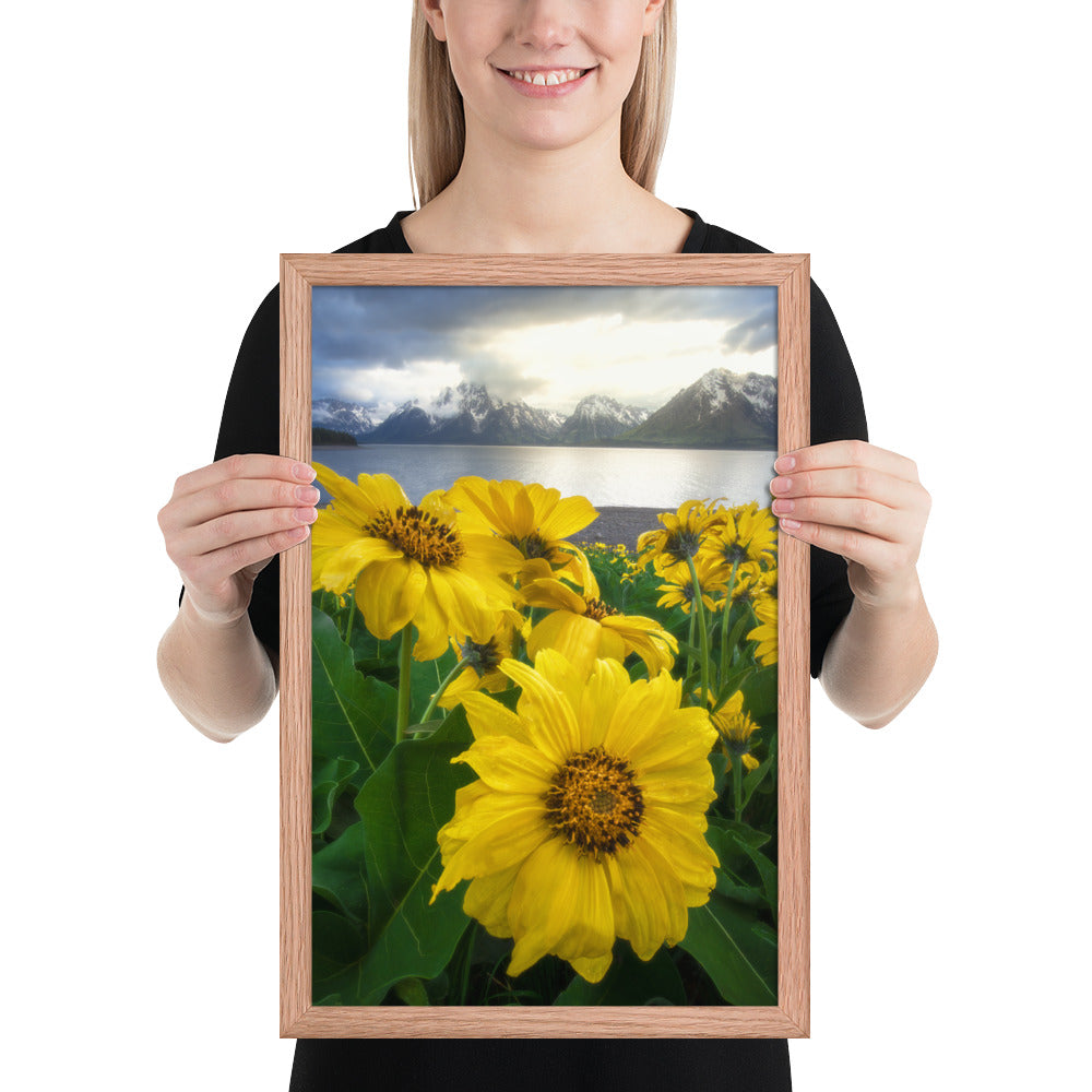 Grand Teton Wildflowers Framed Matte