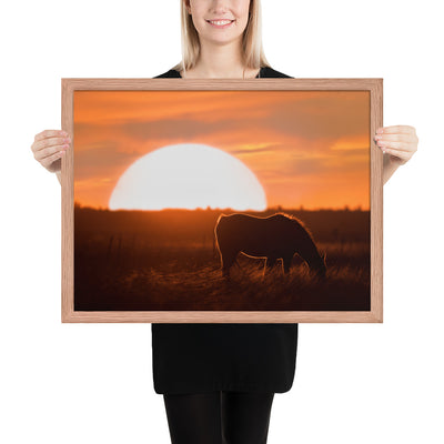 Llano Estacado Horse Framed Matte