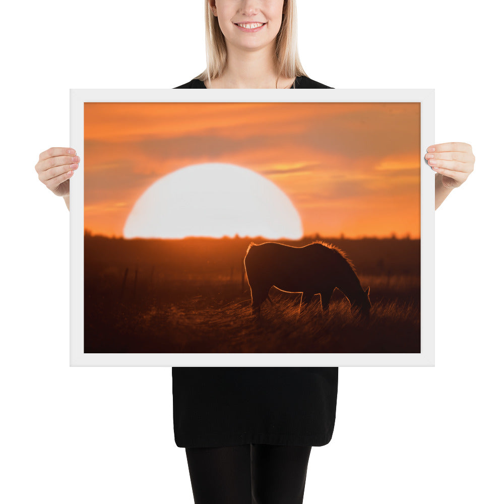 Llano Estacado Horse Framed Matte