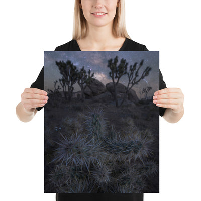 Joshua Tree Night Matte
