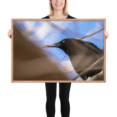 Perched Grackle Framed Luster