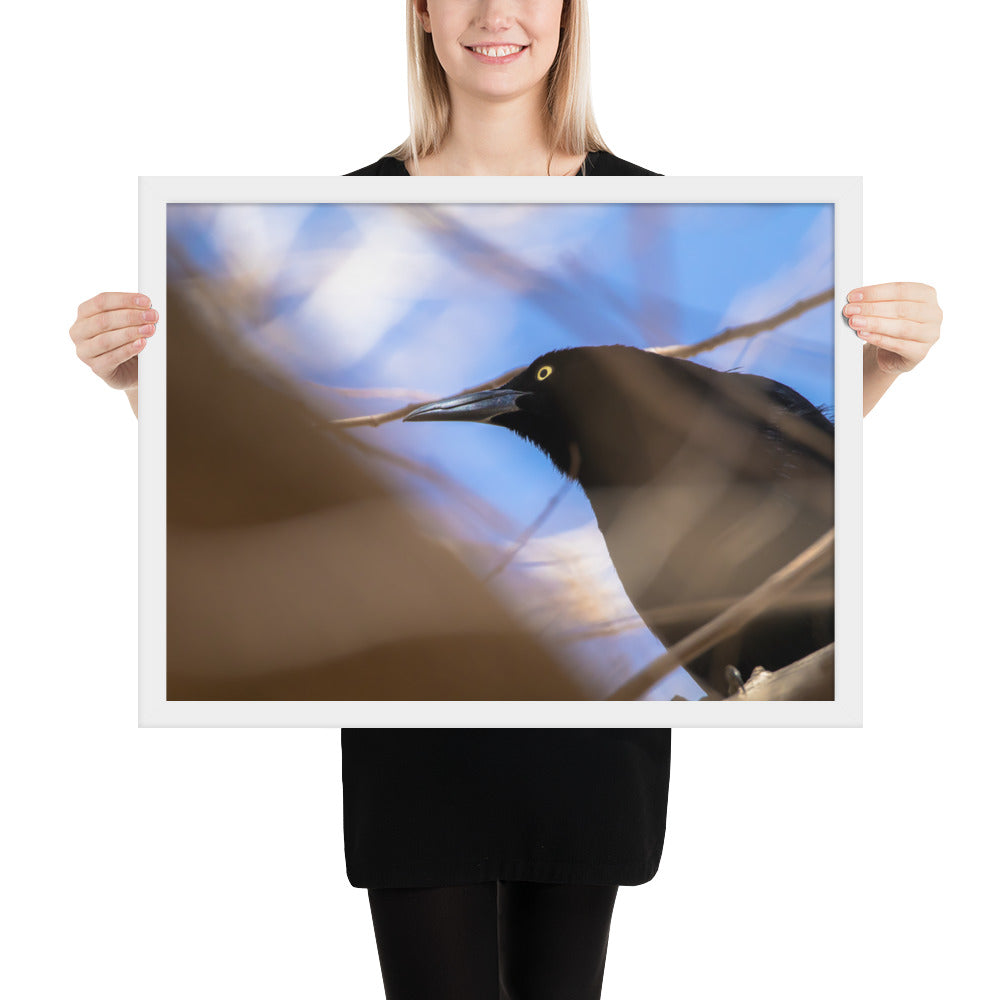 Perched Grackle Framed Luster