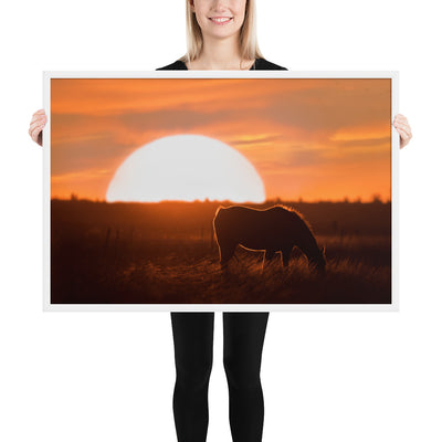 Llano Estacado Horse Framed Luster