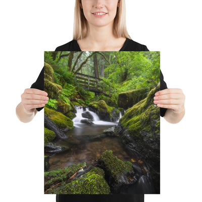 Oregon Fairy Garden Luster