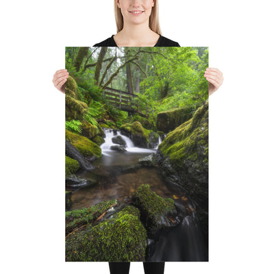 Oregon Fairy Garden Luster